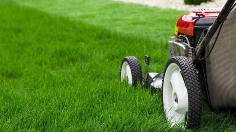 a lawn mower mowing grass